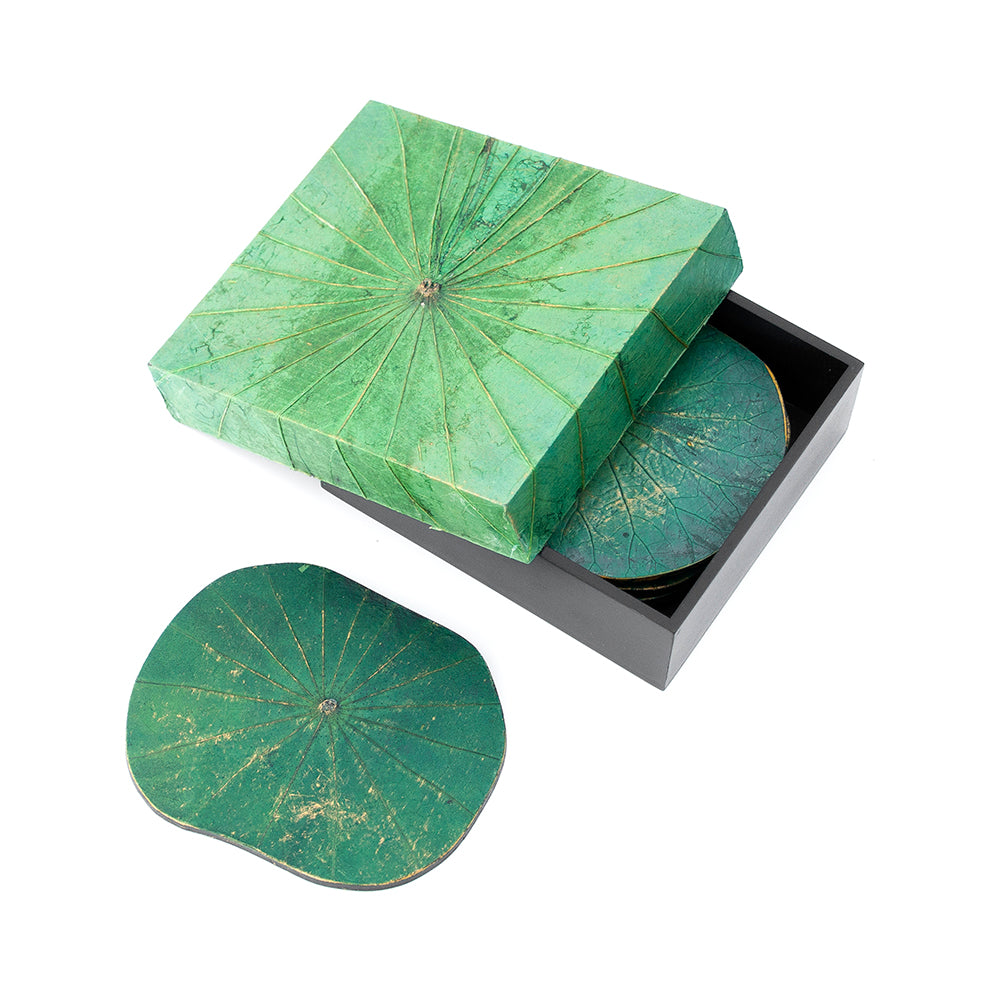 Lotus Leaf Coasters | Jungley