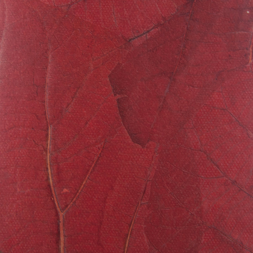 Passport Cover in Leaf Leather - Berry Red